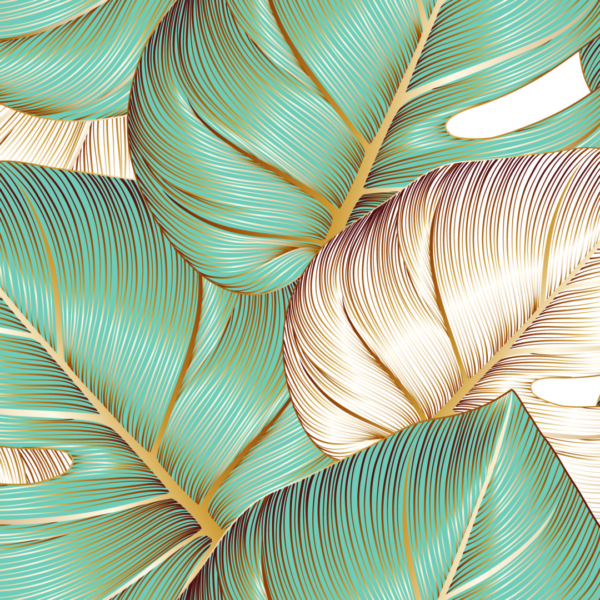 Nástěnná grafika exotických listů