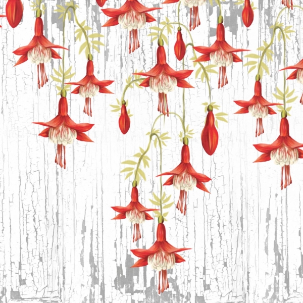 Tapety Závěsné červené květiny