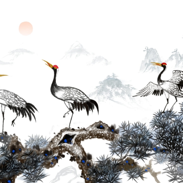 Tapety Ptáci v horách