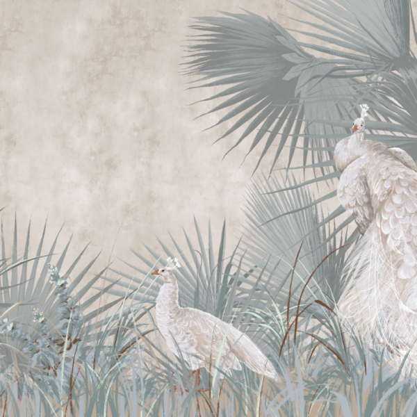 Nástěnná malba bílého páva