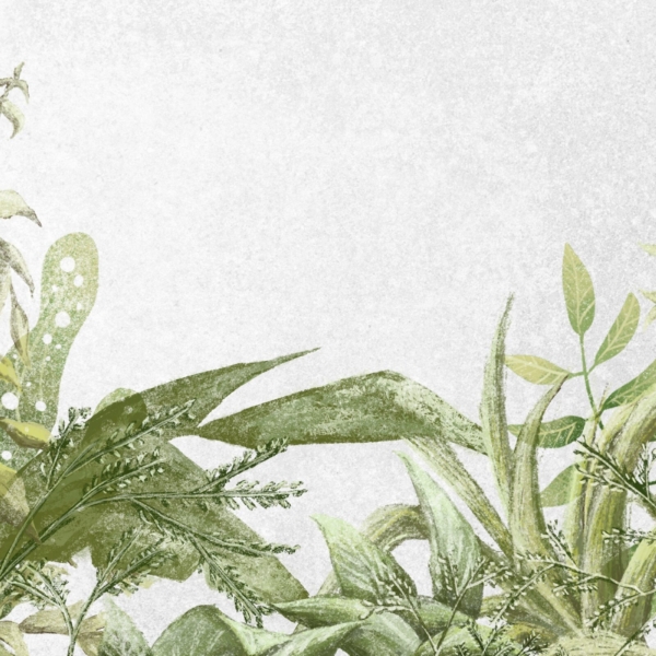 Nástěnná malba Vegetace