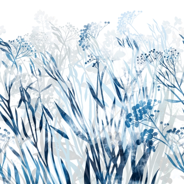 Nástěnná malba Modré květiny v bílé barvě