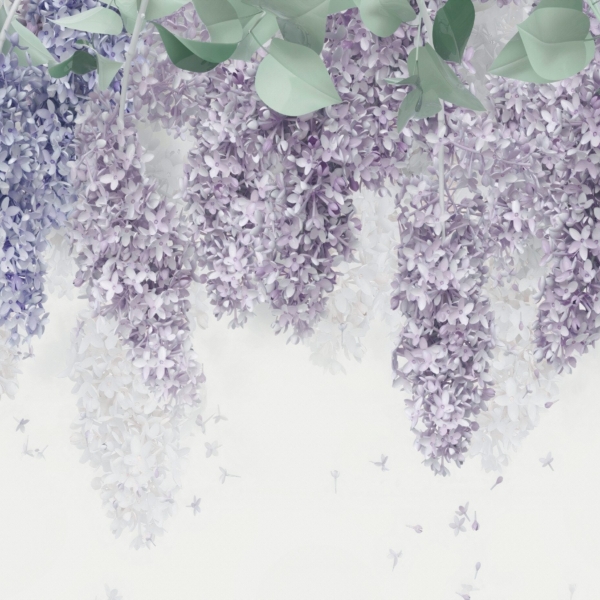 Nástěnná malba Hanging Lilac