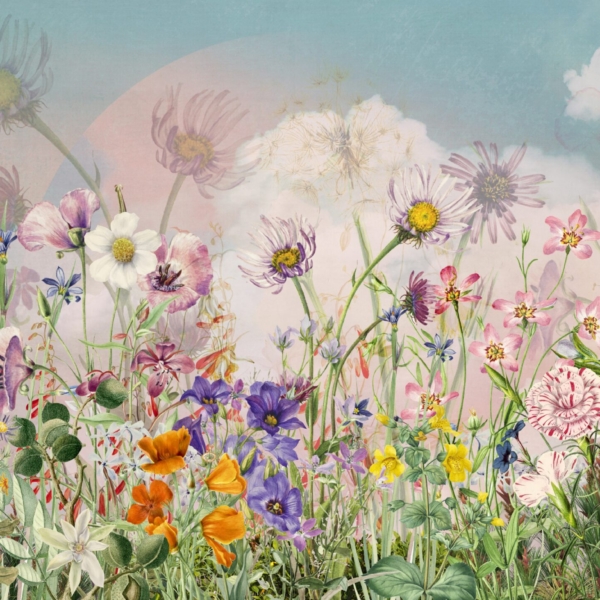 Barevné luční tapety