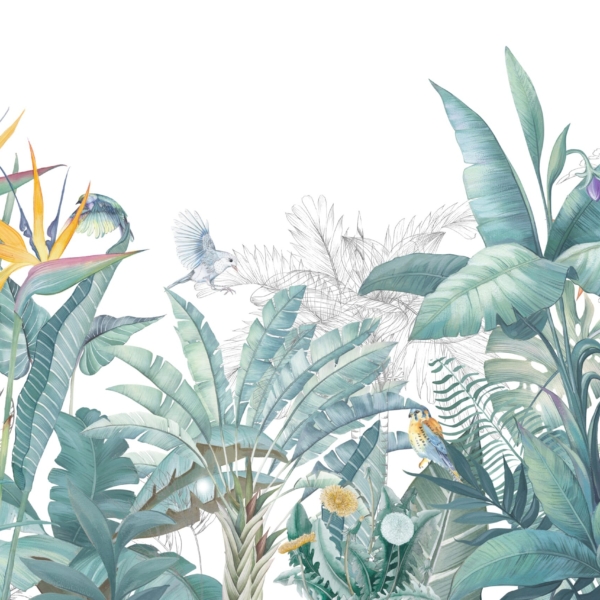 Fototapeta – Listy na bílém pozadí