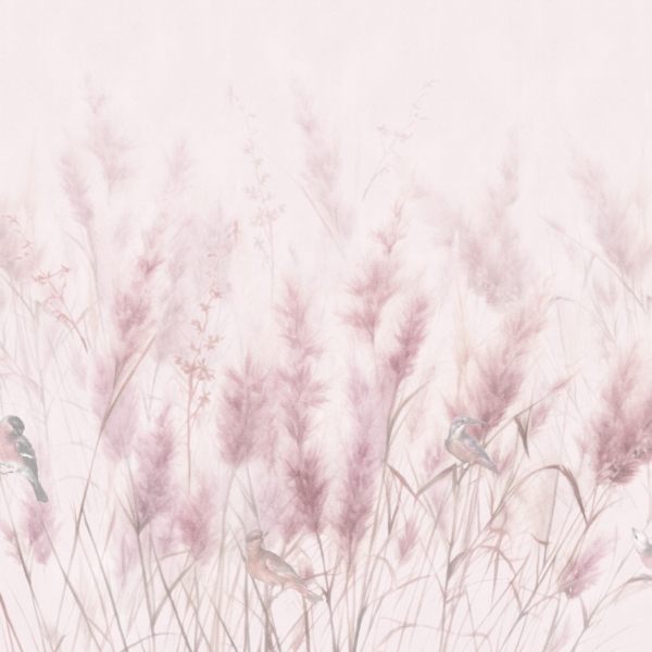 Tapety Obilí a ptáci Růžová