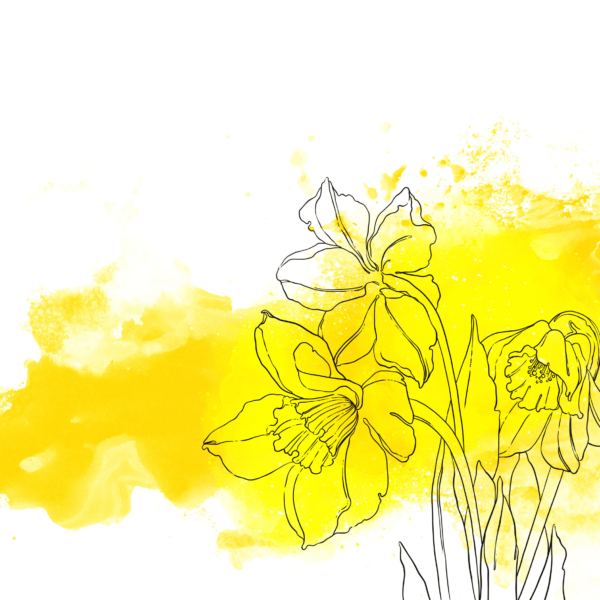 Nástěnná malba Květiny ve žluté barvě