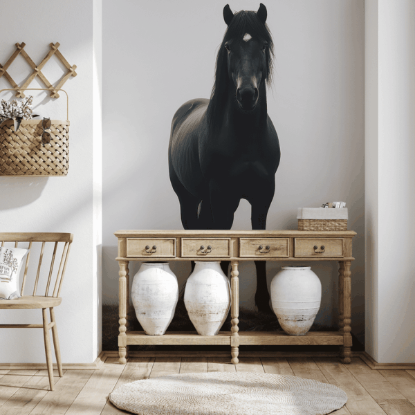 Fototapeta Černý kůň