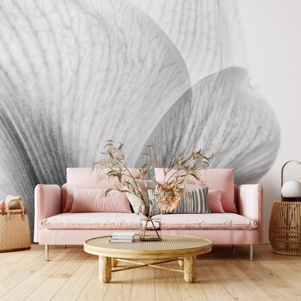 Fototapeta Tajemství okvětního lístku