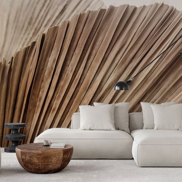 Fototapeta Sušené vějíře přírody