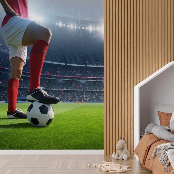 Fototapeta Fotbalista na trávníku