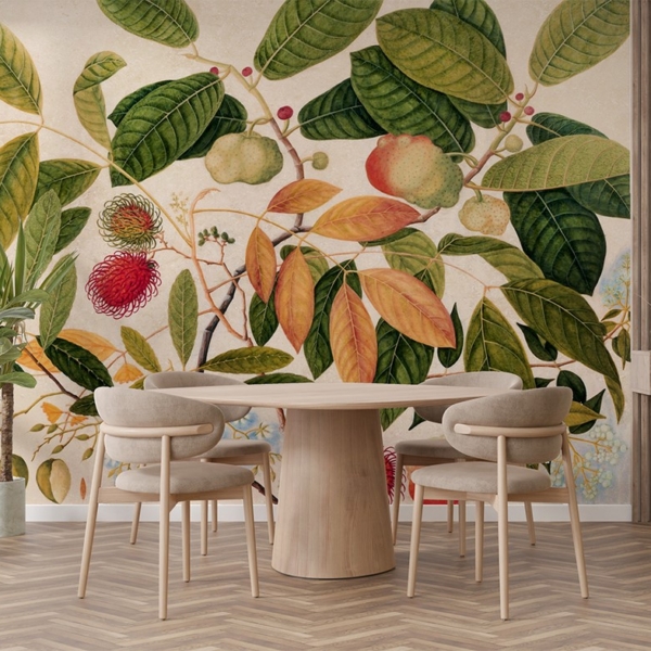 Fototapeta Rambutan a exotické ovoce